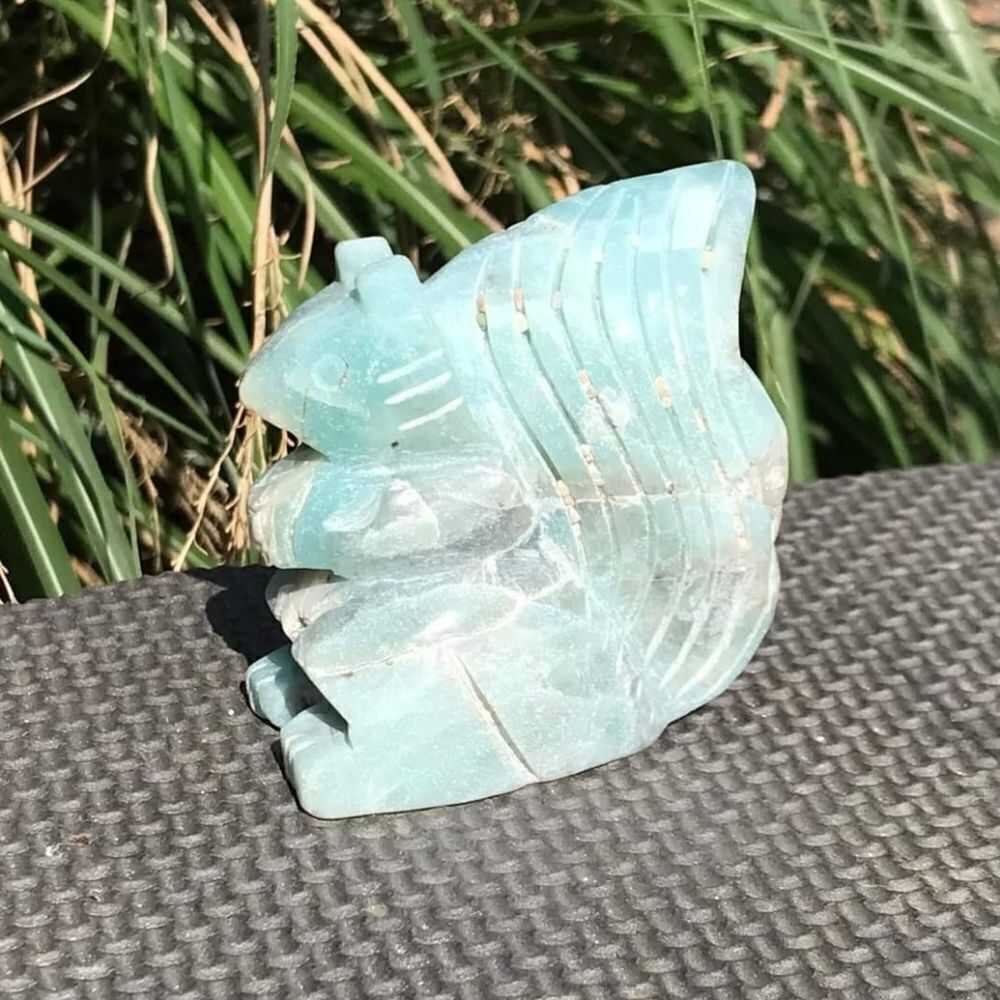 Caribbean Calcite Squirrel